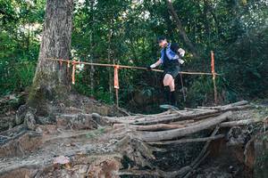 BIB: 
                            <button type="button" onclick="openModal(27306542)" class="btn btn-primary btn-sm float-right btn-popup" data-toggle="modal" data-target=".modal-high-quality">
                        <i class="fas fa-shopping-cart"></i> Add to Cart
                    </button>
                                            <button type="button" onclick="isThisMe(27306542, true)" class="btn btn-success btn-sm float-right btn-popup btn-isme hidden" data-toggle="tooltip" data-placement="bottom" title="นี่คือรูปของคุณใช่ไหม คลิกที่นี่เพื่อเอาเข้าอัลบั้ม">
                        <i class="fas fa-plus"></i> Add to album
                    </button>
                    <button type="button" onclick="isThisMe(27306542, false)" class="btn btn-warning btn-sm float-right btn-popup btn-isnotme hidden">
                        <i class="fas fa-ban"></i> Remove from album
                    </button>